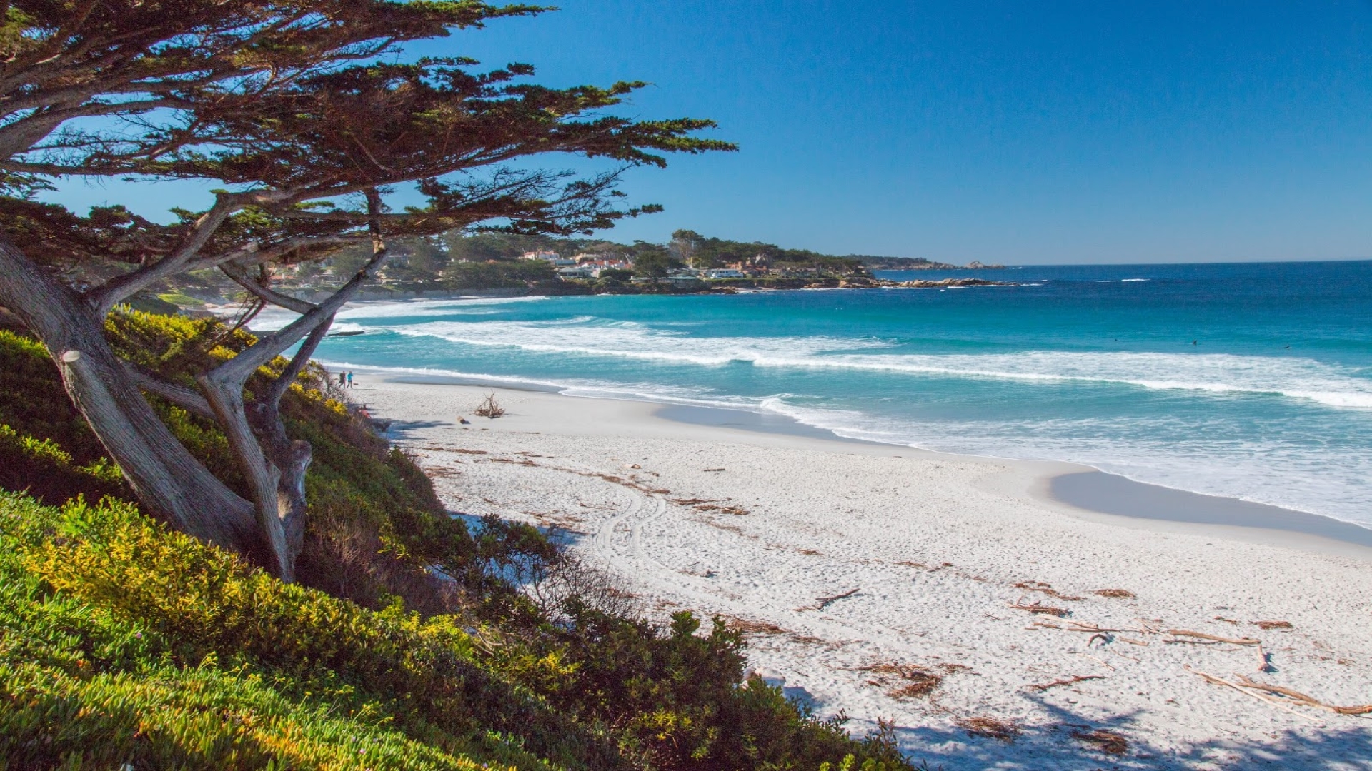 Beautiful ocean waves meeting shoreline of Carmel Beach in Carmel-by-the-Sea, California