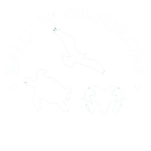 Balloons Blow Org logo in white