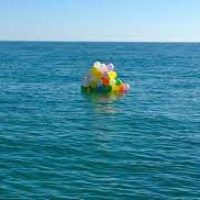 balloons floating in bay of fundy