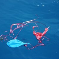 balloon plastic in ocean